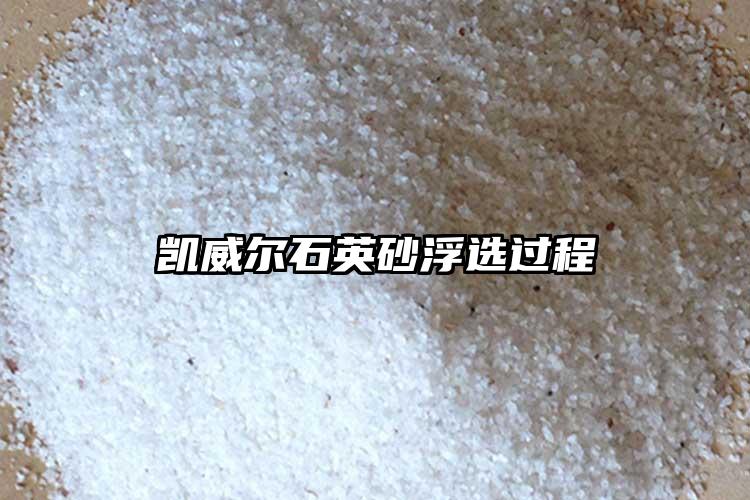 生產廠家黄瓜视频黄片站砂浮選過程
